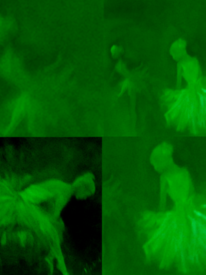 marisa ranali bailarinas verde.png