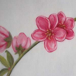 marisa ranali flor de pessegueiro 1.jpg