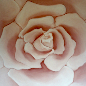 rosa marisa ranali site.png