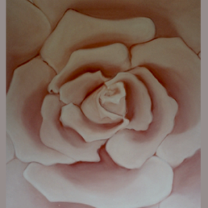 rosa gr fundo rosa marisa ranali site galeria flores.png